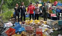 Karantina Riau Musnahkan Puluhan Ton Mangga Ilegal Asal Thailand