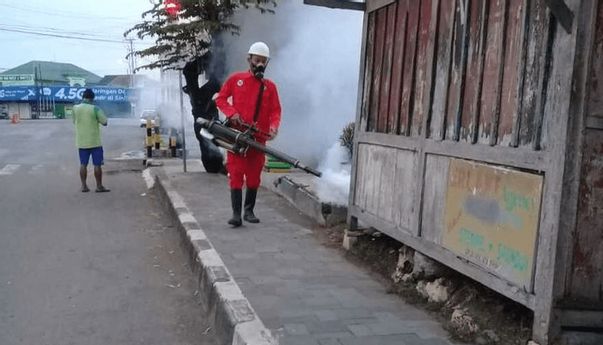 Berita Jogja: Cegah DBD, Ini 3 Hal yang Harus Dilakukan Warga
