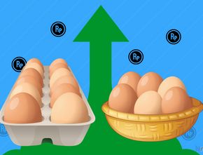 Beda Pandangan Media dan Warganet Sikapi Kenaikan Harga Telur Ayam