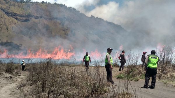 Kebakaran Taman Nasional Bromo, Lahan Seluas 14 Hektare Hangus