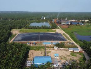 Pengolahan Limbah Sawit Menjadi Energi Biogas: Solusi Berkelanjutan untuk Industri Kelapa Sawit?