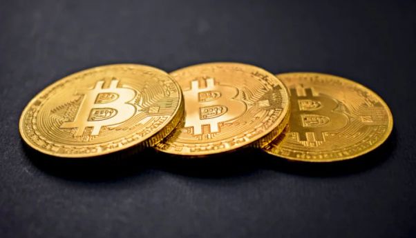 Berita Kriminal: Pasangan Suami Istri Gondol Bitcoin Senilai Rp51 Triliun!