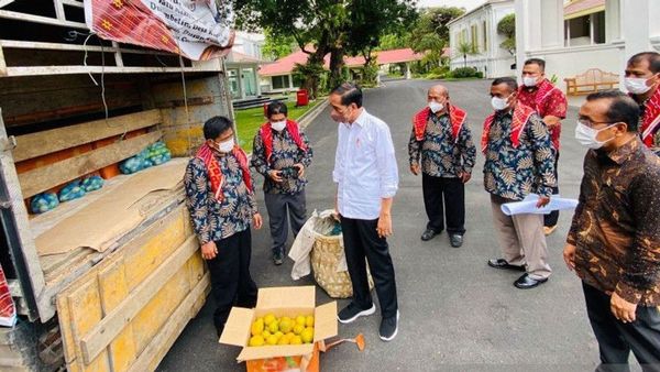 Ramai Perkara 3 Ton Jeruk yang Didapat Jokowi dari Petani, Faldo: “Kita Ganti Bayar, Bukan Malak Gratisan”