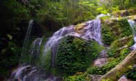 5 Rekomendasi Air Terjun di Jambi dengan Pemandangan Menakjubkan