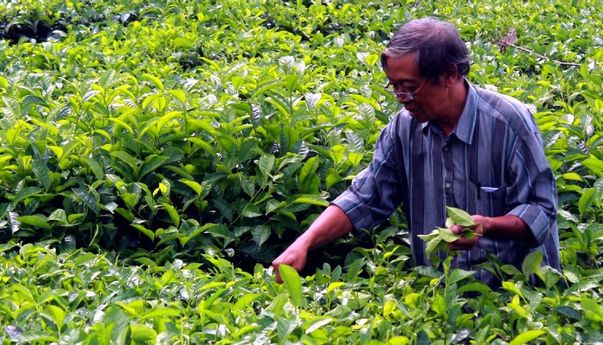 Puisi-Puisi Iman Budhi Santosa, Mengenang Keteladanan Penyair Alumni PSK