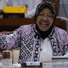 Masuk Bursa Pilkada Jakarta 2024, Risma: Terus Terang Saya Takut