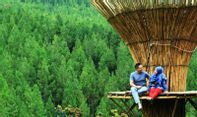 Harga Tiket untuk Nikmati Pemandangan Menakjubkan The Lodge Maribaya di Lembang