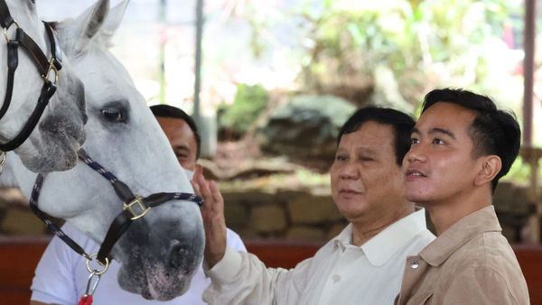 Habis Berkuda dengan Prabowo, Gibran Rakabuming Didukung Maju Jadi Gubernur