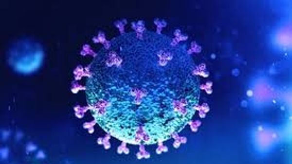 Agar Tidak Tertular! Ketahui Cara Hidup Virus Corona Menurut Para Ilmuwan