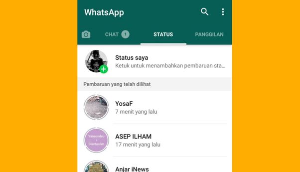 Mudah! Ini Cara Melihat Status WA Tanpa Diketahui Dia