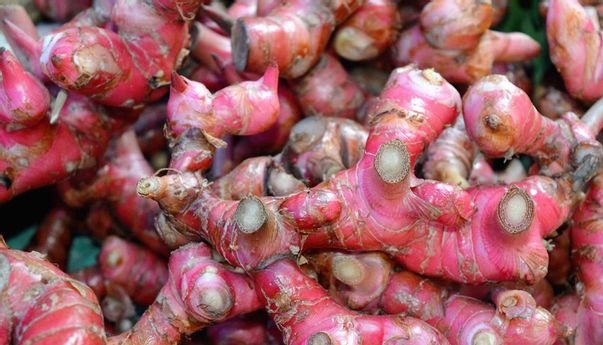 5 Manfaat Jahe Merah untuk Pria Dewasa