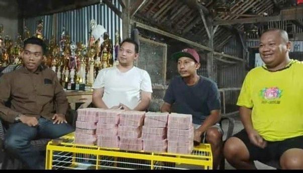 Inilah Muhammad Juned, Pria Asal Pekalongan yang Jual Burung Merpatinya Seharga Rp1,5 Miliar