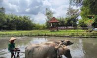 Bangkitkan Wisata Yogyakarta, Desa Wisata Disebut Bisa Jadi Pionir