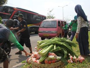 Berita Jateng: Petani di Magelang Beri 'Giveaway' Sayuran pada Warga