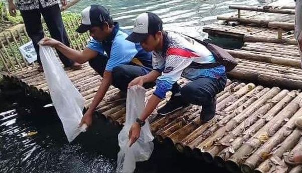 Pemkab Tegal Sebar 300.000 Benih Ikan di Waduk dan Sungai Setempat