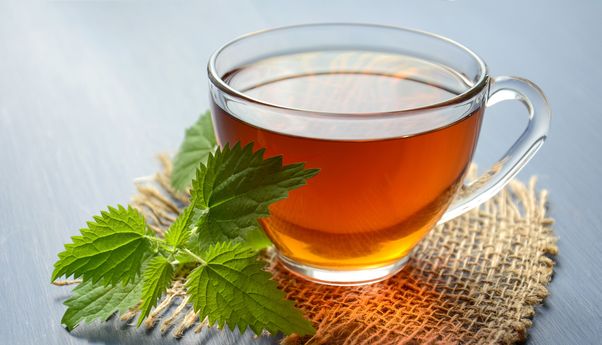 Teh Herbal yang Aman dan Juga Bermanfaat untuk Kesehatan Anak