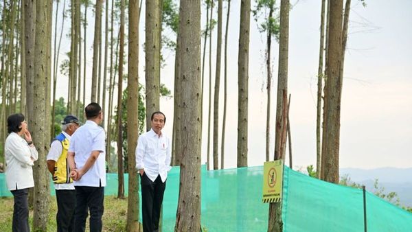 Pagi Cerah di IKN, Jokowi Ajak Para Menteri Menikmati Pemandangan dan Progres Pembangunan