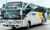 Waspada Calo, Pengelola Damri Minta Warga Beli Tiket Mudik Langsung via Aplikasi