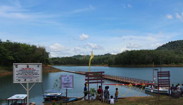 Status Waduk PLTA Koto Panjang: Debit Air Naik, Kondisi Terbaru Masih Aman?
