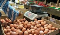 Mengejutkan! Harga Telur Ayam Melambung Tinggi dalam Sepekan