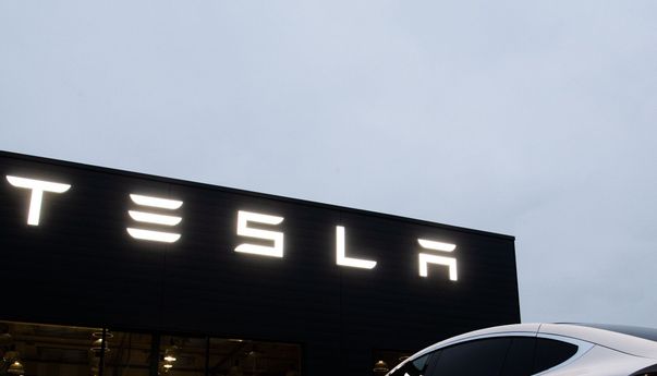 Nikel Indonesia Murah, Alasan Tesla Bangun Pabrik di Batang?