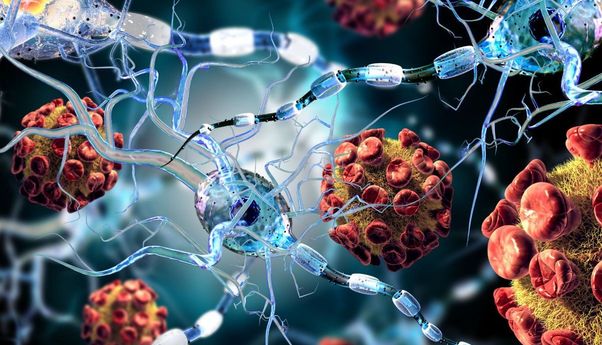 Peneliti Jerman: Virus Covid-19 dapat Masuk ke Otak Melalui Hidung