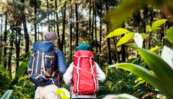 Sejumlah Fakta Terkait Video Mesum WNA di Area Gunung Batur