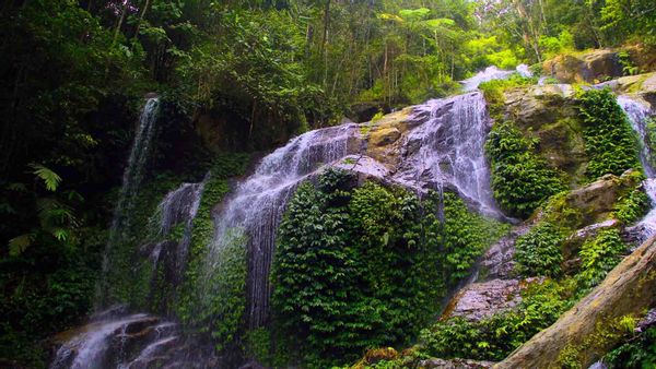 5 Rekomendasi Air Terjun di Jambi dengan Pemandangan Menakjubkan