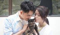Peran Kucing dalam Menyelematkan Pasangan yang Hubungannya Sedang Buruk