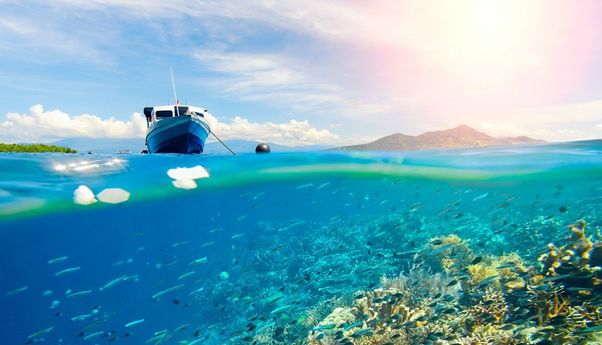 Kawasan Wisata Bunaken Resmi Jadi Cagar Biosfer UNESCO, Cantiknya Memang Luar Biasa