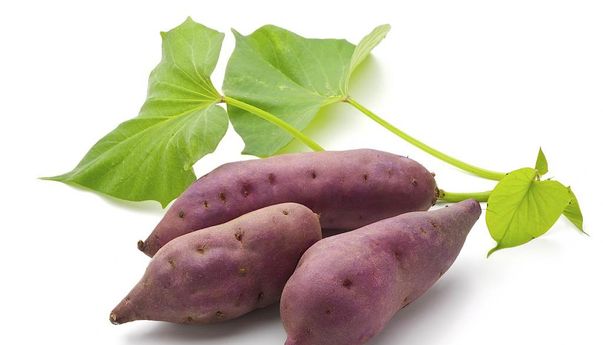 Berbagai Manfaat Daun Ubi Jalar Untuk Mata Hingga Tulang dan Jantung