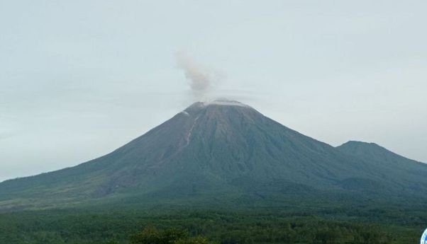 Gunung Semeru Alami 14 Kali Gempa Letusan, Warga Diminta Tak Beraktivitas dalam Radius 5 Km