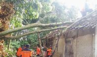 Hujan Deras dan Angin Kencang Hempas Bantul: 4 Pohon Tumbang Timpa Rumah Warga