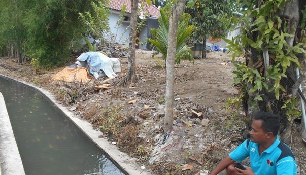 Mengejutkan! Di Sayegan Sleman, Ikan Nila Merah Dibesarkan di Selokan