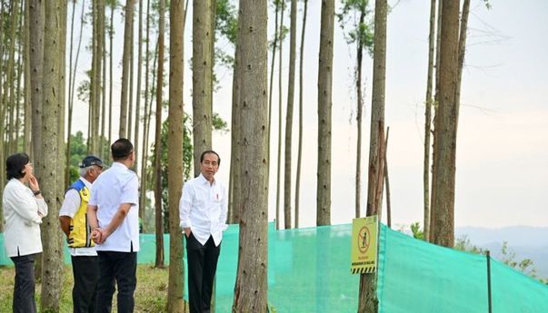 Pagi Cerah di IKN, Jokowi Ajak Para Menteri Menikmati Pemandangan dan Progres Pembangunan