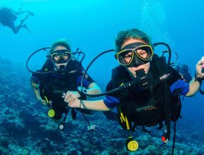 Suka Menyelam? Inilah Spot Diving Terbaik di Bawah Laut Indonesia