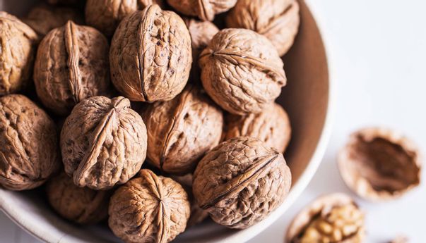 Segudang Manfaat Kenari, Jaga Kesehatan Otak hingga Lawan Depresi