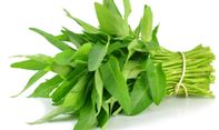 Kangkung, Sayuran Segudang Manfaat. Salah Satunya Bermanfaat untuk MPASI Bayi