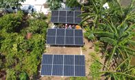 Pertamina Keren! Desa Energi Berdikari Dorong Ekonomi Petani Jamur Karawang