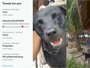 Dugaan Penyiksaan Anjing di Aceh Jadi Sorotan Netizen, Tagar #Aceh Nomor 1 di Twitter