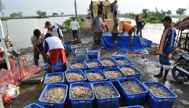 Capaian Semester Pertama Baik, Kadin Apresiasi KKP