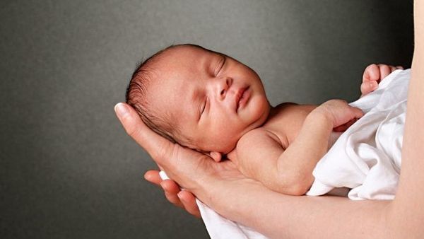 Daftar Nama Bayi Keren yang Diambil dari Nama Ilmiah Hewan dan Tumbuhan