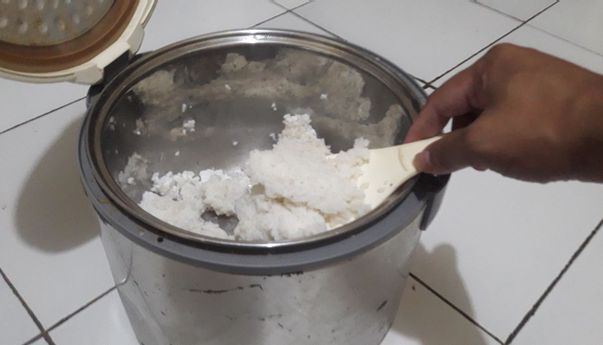 Pakar UGM Soal Rencana Pemerintah Bagi-bagi 680 Ribu Rice Cooker Gratis: Sama Sekali Tidak Efektif