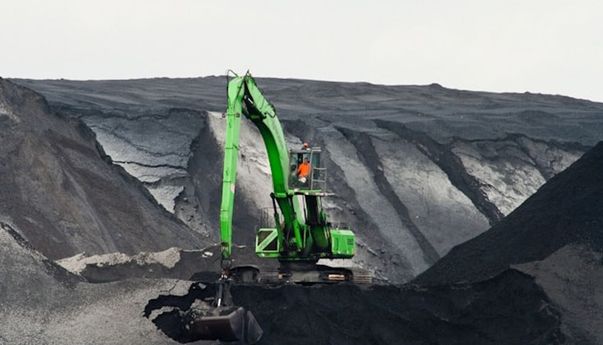 5 Tambang Batu Bara Terbesar di Indonesia: Potensi dan Prospek Ekspor