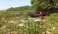 Eceng Gondok di PLTA Saguling Ancam Operasional, TNI dan Warga Turun Tangan?