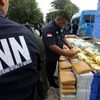 Kepala BNN Jamin Pengguna Narkoba yang Lapor untuk Rehabilitasi Tidak Akan Dihukum