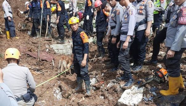 Pencarian Korban Gempa Cianjur, Polri Terjunkan 16 Anjing Pelacak K-9