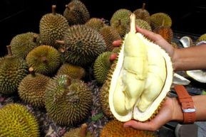 Durian Indonesia Siap Tembus Pasar China Setelah Kesepakatan Ekspor Baru