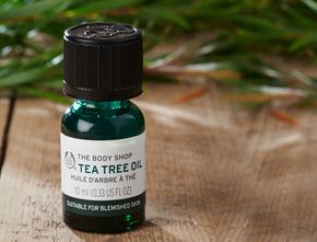 Hilangkan Jerawat, Ini Manfaat Lain Tea Tree Oil!