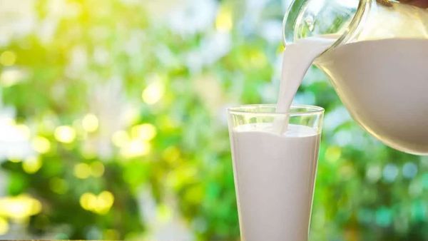 Rekomendasi Susu Rendah Karbo yang baik untuk Pengidap Diabetes